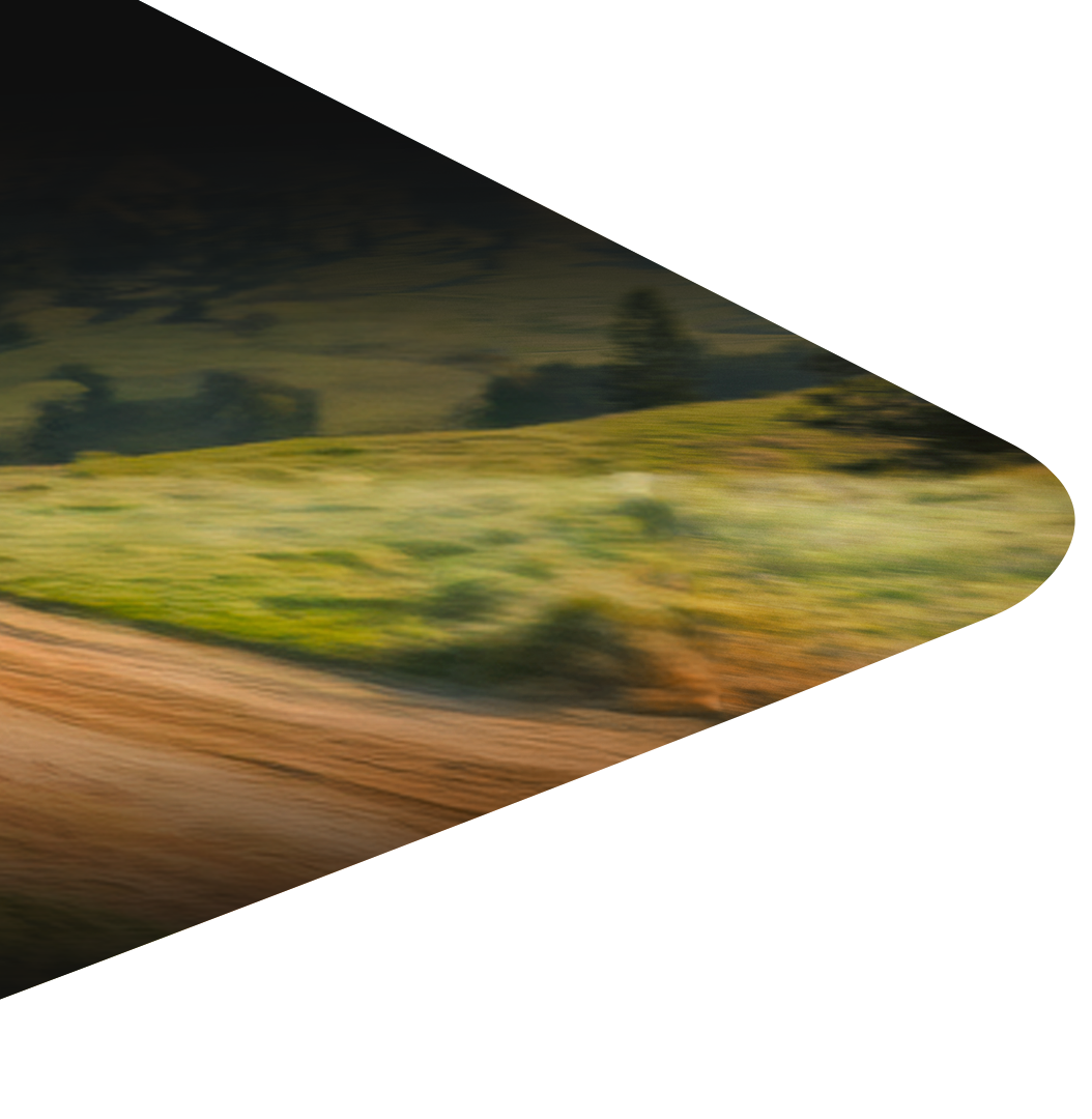Form