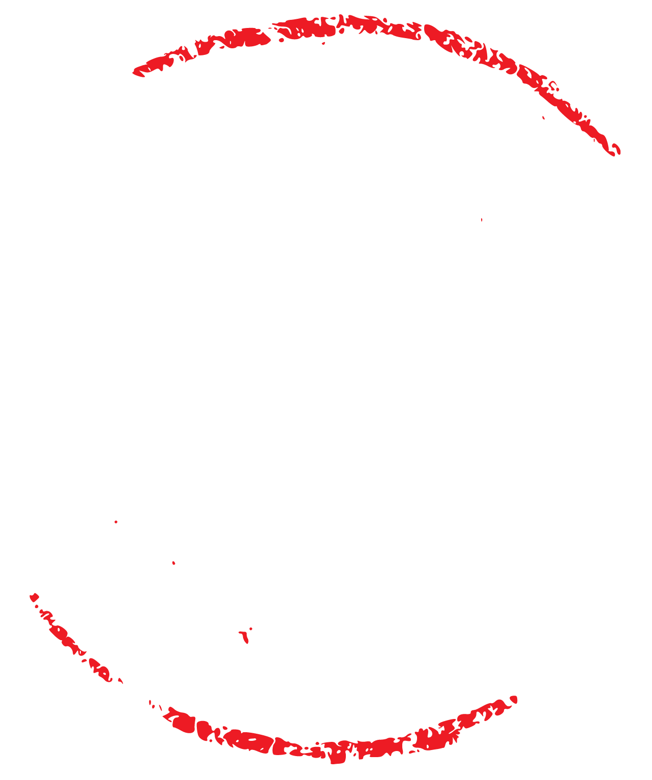 Seguridad 2