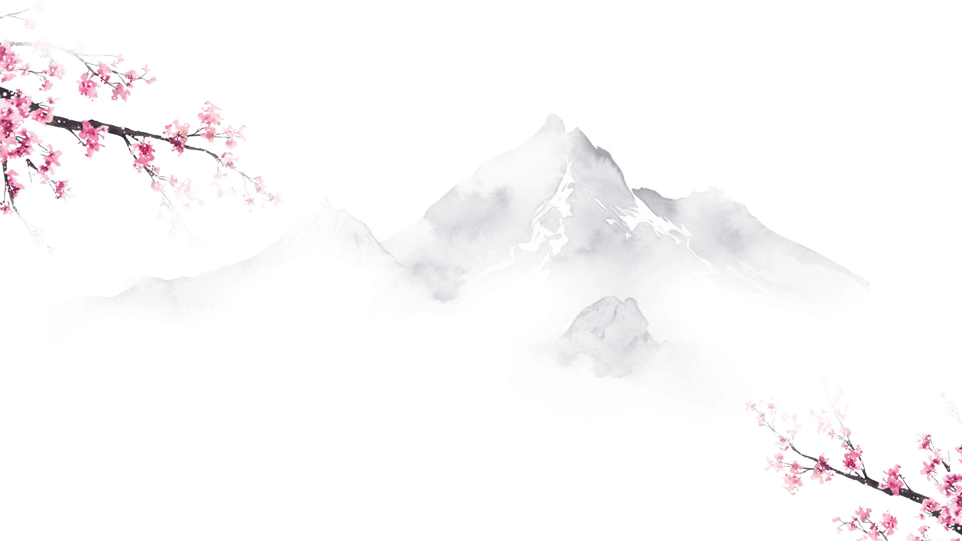 fondo sakura