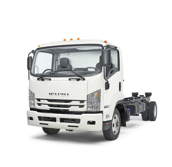 camion blanco